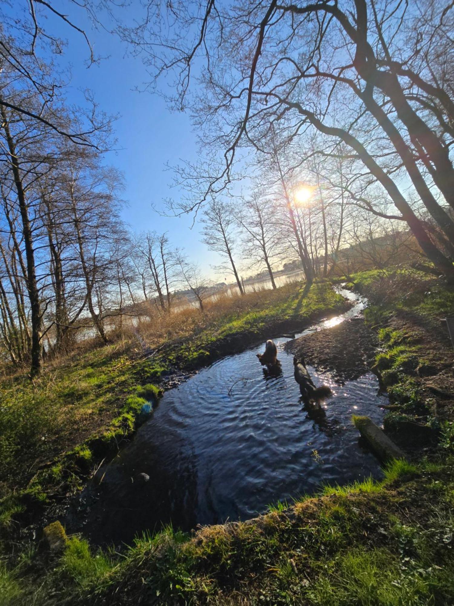 Fewo "Luett Stuv" Fockbek Bagian luar foto